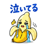 842840077