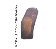 842840424