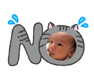 842840651
