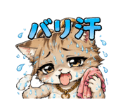 842840987