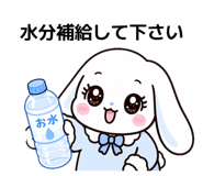 842841037