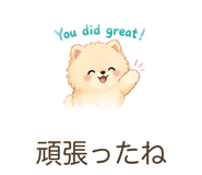 842841127