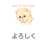 842841134