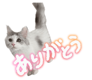 842841325