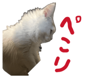 842841326