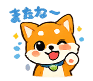 842841419