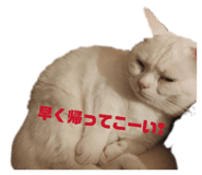 842841481