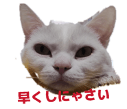 842841488