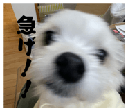 842841882