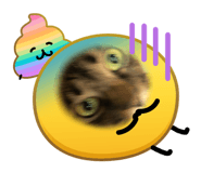 842841962