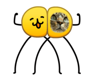 842841964