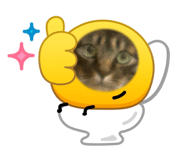 842841966