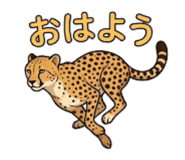 842841996