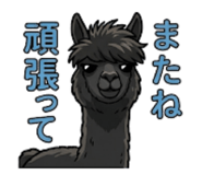 842842000