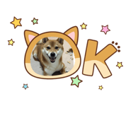 842842113