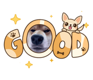 842842114