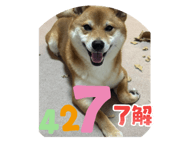 842842118