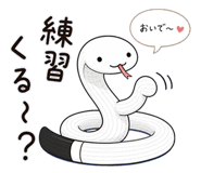 842842217