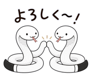 842842222