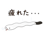 842842225