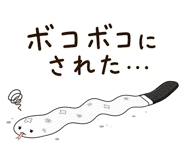 842842229