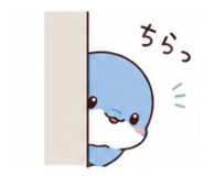 842842551