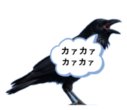 842842870