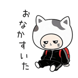 842843156