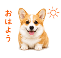 842843337