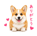 842843338