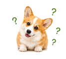 842843339