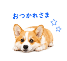 842843340
