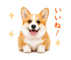 842843343