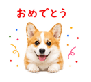 842843346