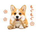 842843347