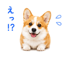 842843349