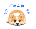 842843350