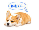 842843351