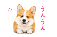 842843352