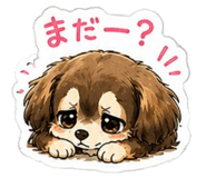 842843372