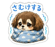 842843377