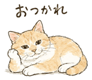 842843686