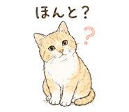 842843693