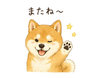 842844100