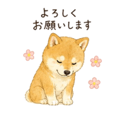 842844101