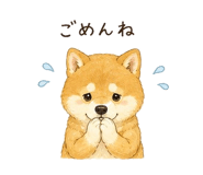 842844104