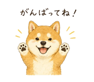 842844112