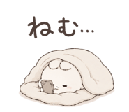 842844177