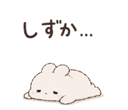 842844183