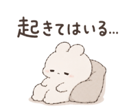 842844186